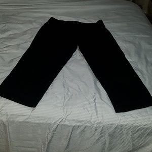 Ann Taylor loft Catalina Capri Julie fit